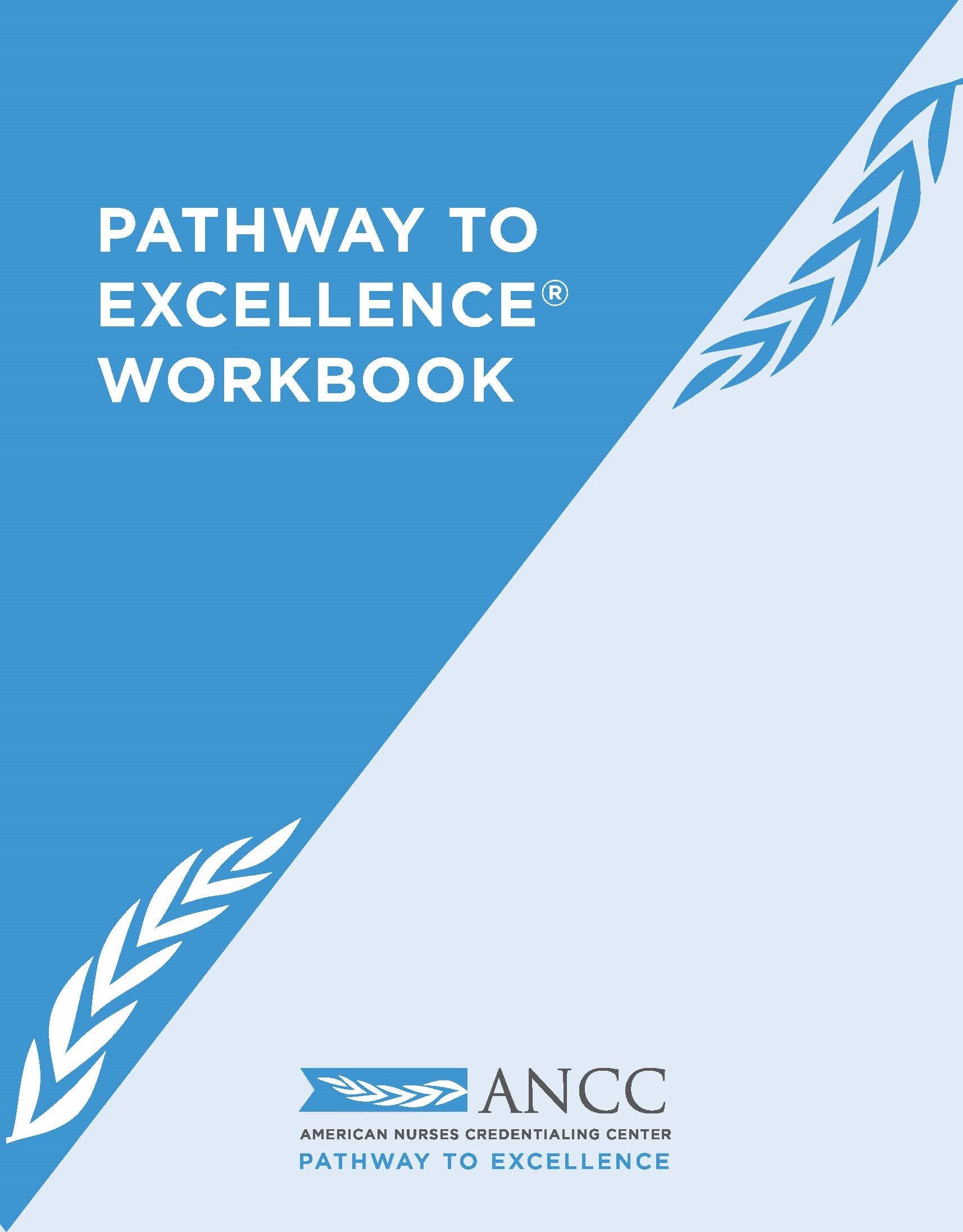 2021 Pathway to Excellence® Workbook